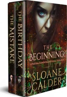 The Beginning: A Natura Elementals Novella Duology