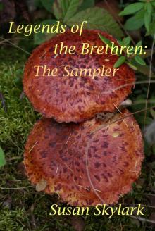 Legends of the Brethren: The Sampler