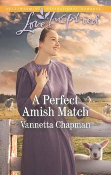 A Perfect Amish Match (Indiana Amish Brides Book 3)