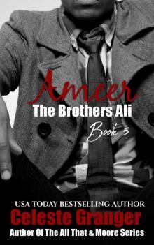 Ameer (The Brothers Ali Book 5)