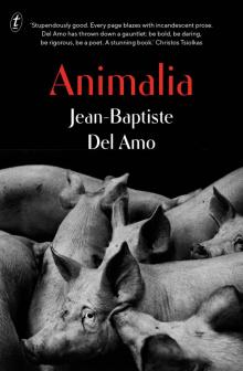 Animalia