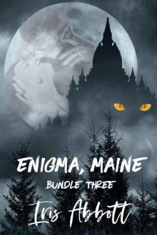 Enigma, Maine, Bundle Three