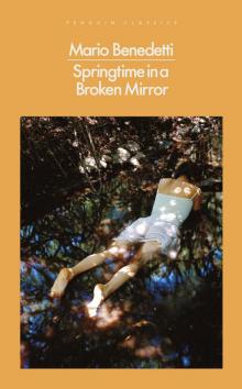 Springtime in a Broken Mirror