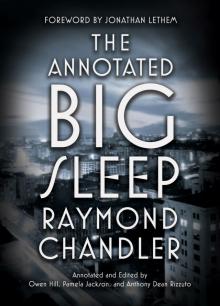 The Annotated Big Sleep