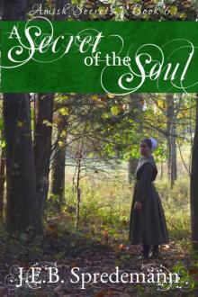 A Secret of the Soul (Amish Secrets--Book 6)