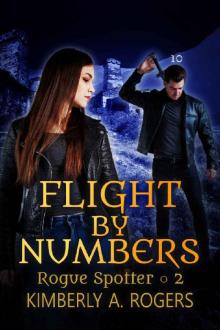 Flight by Numbers