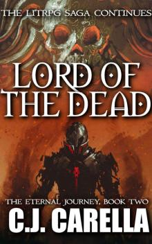 Lord of the Dead: A LitRPG Saga (The Eternal Journey Book 2)