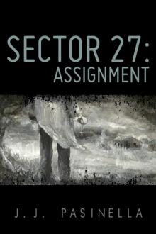 Sector 27- Assignment