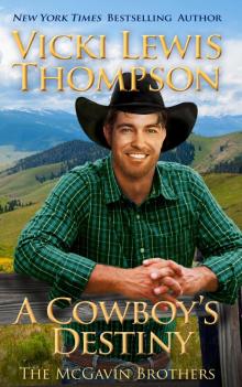 A Cowboy’s Destiny: The McGavin Brothers