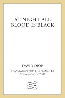 At Night All Blood Is Black