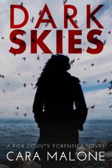 Dark Skies: A Fox County Forensics Lesbian Romantic Suspense