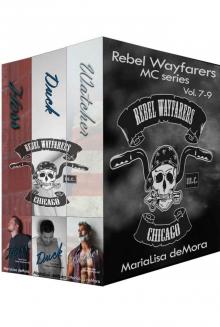 Rebel Wayfarers MC Boxset 3