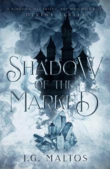 Shadow of The Marked: Divine Series