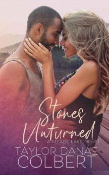 Stones Unturned (Meade Lake Series Book 2)