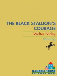 The Black Stallion's Courage