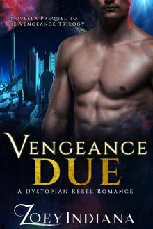 Vengeance Due--A Dystopian Rebel Romance