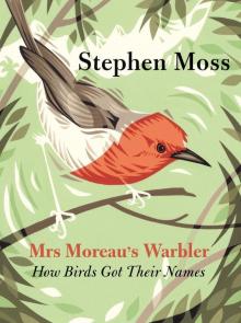 Mrs Moreau's Warbler