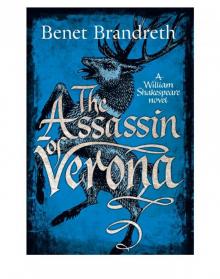 The Assassin of Verona