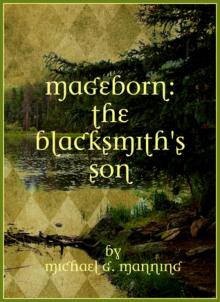 The Blacksmith's Son