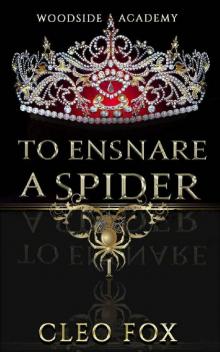 To Ensnare a Spider: A Contemporary Revenge Reverse Harem (Woodside Academy Book 1)