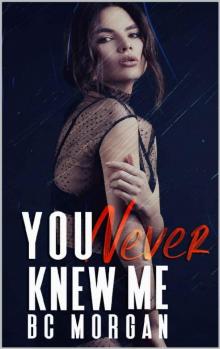 You Never Knew Me (The Never Series Book 1)