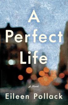 A Perfect Life