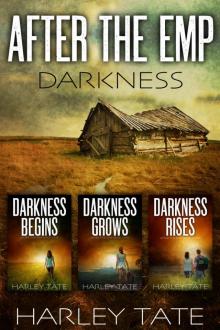 After the EMP- The Darkness Trilogy