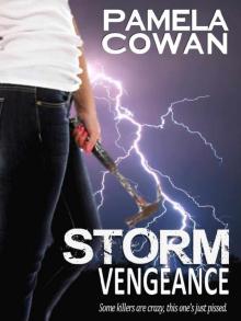 Storm Vengeance