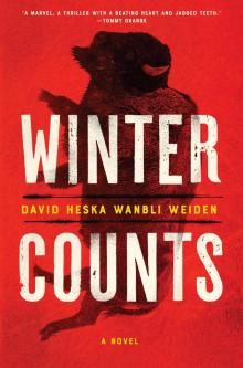 Winter Counts