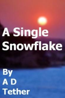 A Single Snowflake