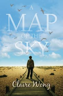 A Map of the Sky