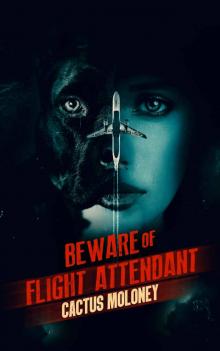 Beware of Flight Attendant