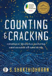 Counting and Cracking