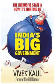 India’s Big Government