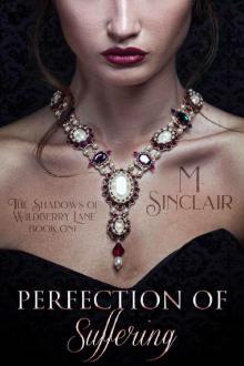 Perfection of Suffering (The Shadows of Wildberry Lane Book 1)