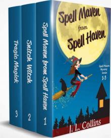 Spell Maven Mysteries- The Complete Series