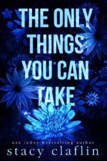 The Only Things You Can Take (Wildflower Romance #2)