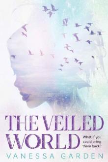 The Veiled World