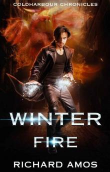 Winter Fire: an Urban Fantasy Novel (Coldharbour Chronicles Book 3)