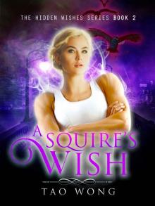 A Squire's Wish: A GameLit novel (Hidden Wishes Book 2)