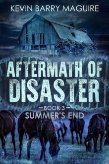 Aftermath of Disaster: Book 3 Summer's End