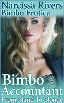 Bimbo Accountant