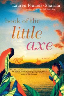 Book of the Little Axe