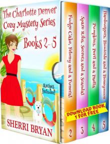 Charlotte Denver Cozy Mystery Box Set