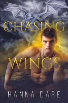 Chasing Wings