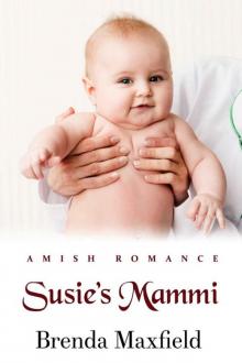 Susie's Mammi (Amy's Story Book 2)