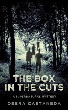 The Box in The Cuts: A Supernatural Mystery