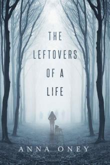 The Leftovers of a Life