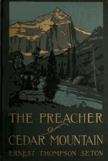 The Preacher of Cedar Mountain