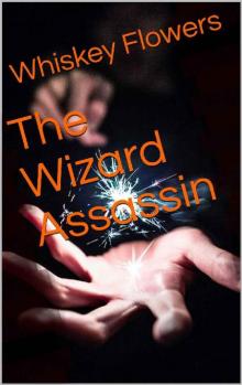 The Wizard Assassin